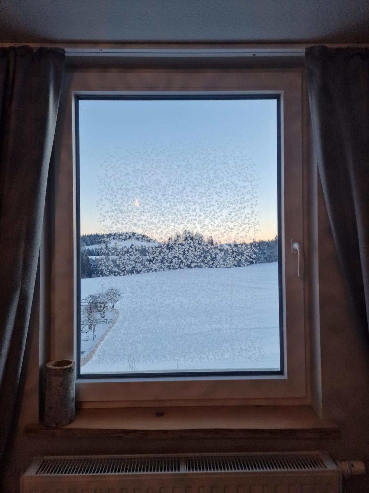 Der Perfekte Ausgangspunkt Appartement Weiler-Simmerberg Buitenkant foto