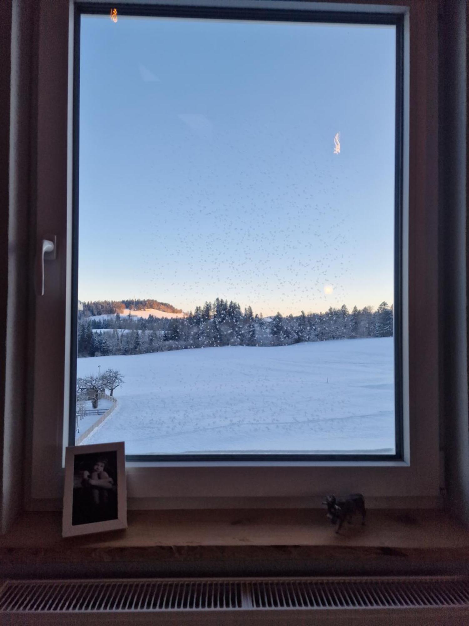Der Perfekte Ausgangspunkt Appartement Weiler-Simmerberg Buitenkant foto