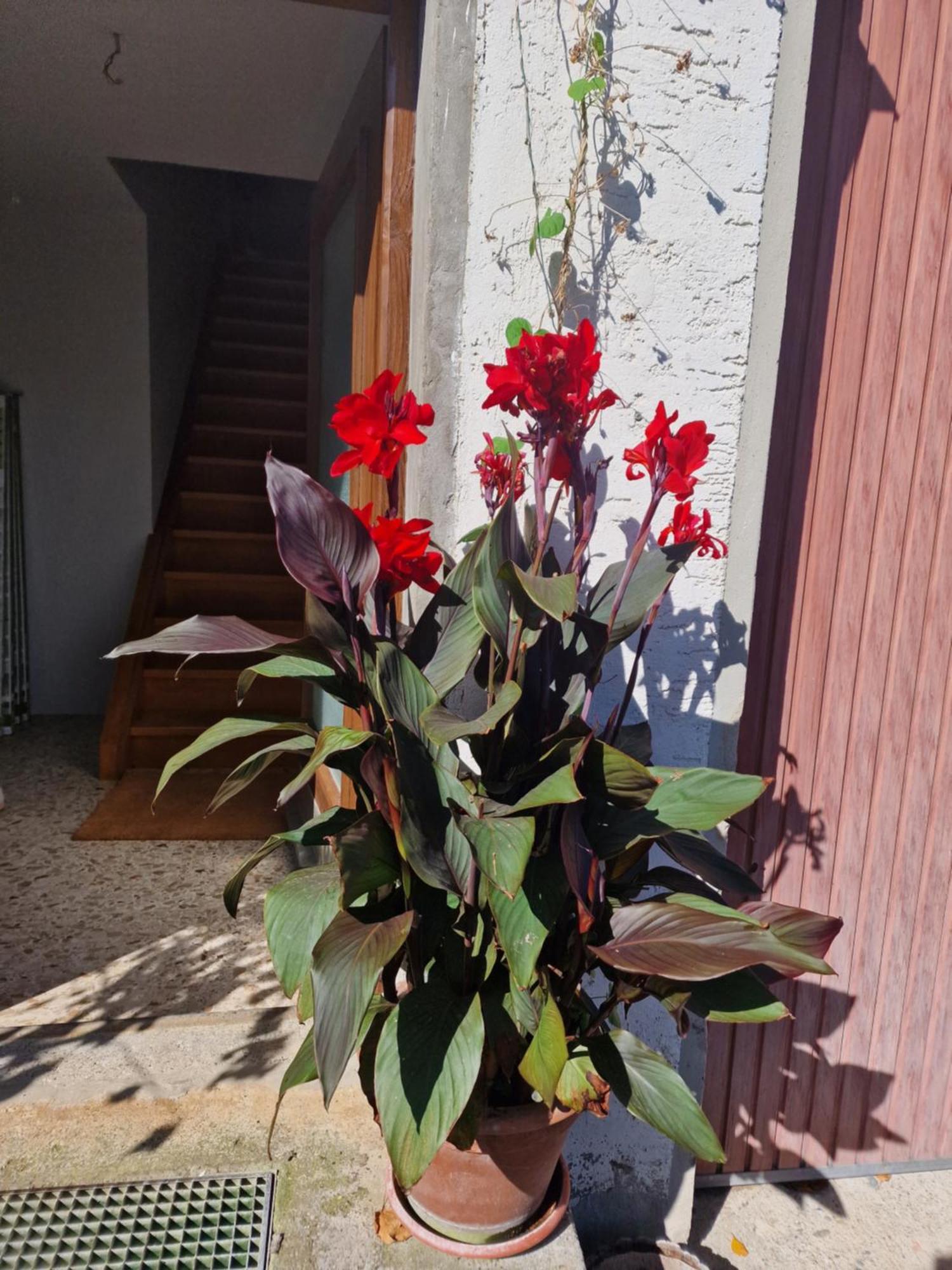 Der Perfekte Ausgangspunkt Appartement Weiler-Simmerberg Buitenkant foto